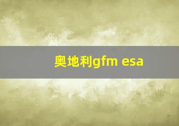 奥地利gfm esa